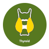 Thyroid